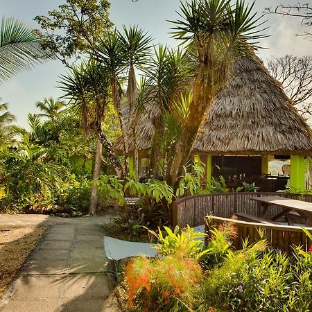 Windy Hill Resort San Ignacio Exterior foto