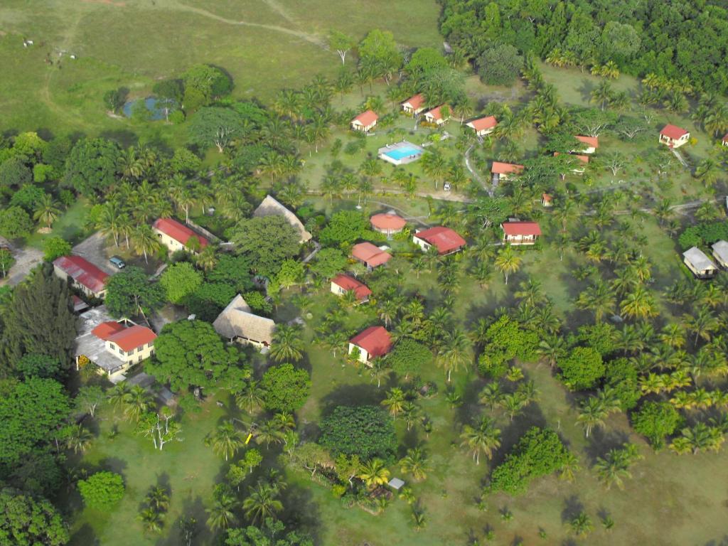 Windy Hill Resort San Ignacio Exterior foto